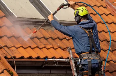 Démoussage et hydrofuge de toiture à Berstett